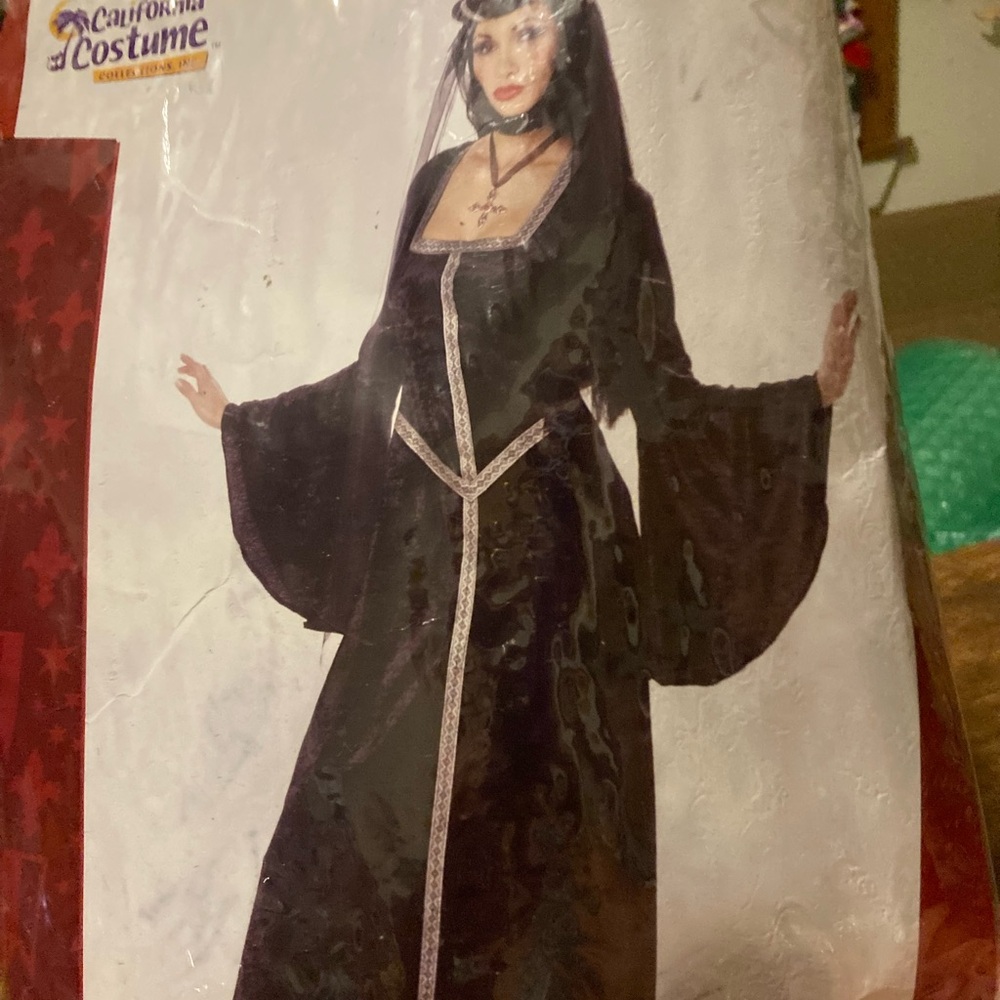 California Costumes adult Morgana the Evil Sorceress costume